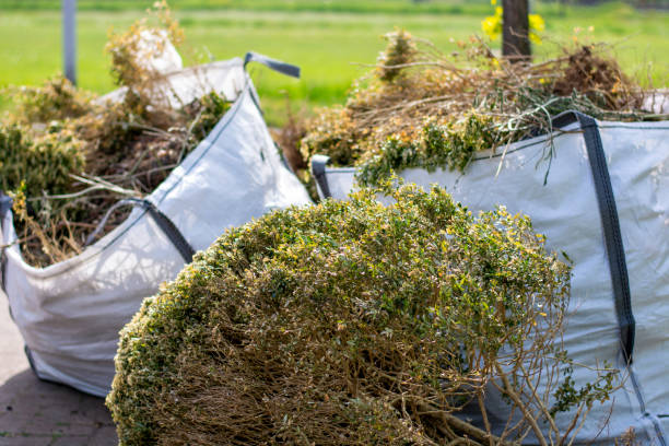 Best Household Junk Removal  in West Lafayette, OH